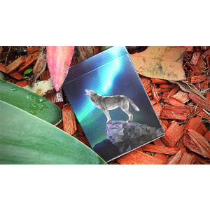 WILD Playing Cards by AssoKappa