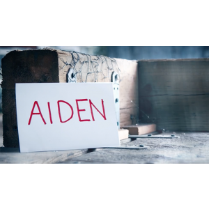 Aiden (DVD and Gimmicks) by Ryuhei Nakamura - DVD