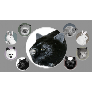 Black Fox Spring Animal by Magic Masters - Trick