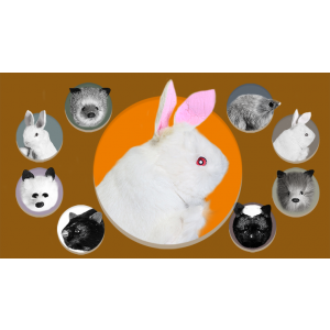 Rabbit Hand Puppet by Magic Masters - Trick