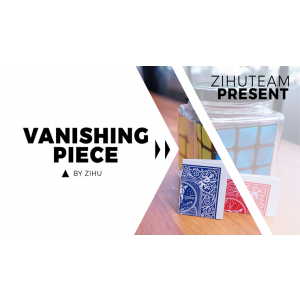 Vanishing Piece (Gimmicks and Online Instructions) by Zihu - Trick