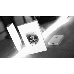 2018 Madison Edition of The Expert at the Card Table by S.W. Erdnase and Neema Atri