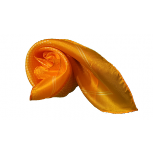 Syouma Silk (Yellow) by Tejinaya Magic - Trick