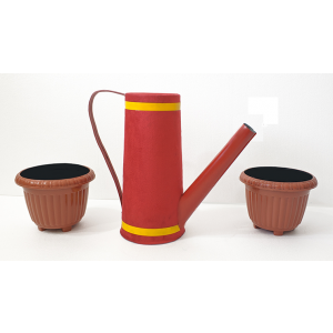 The Power of Watering by Tora Magic - Trick