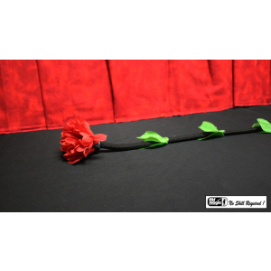 Fresh Flower by Mr. Magic - Trick