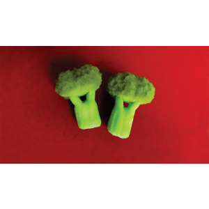 Sponge Broccoli (Set of Two) by Alexander May - Trick