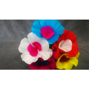 Blooming Bouquet (5 Blooms) by Tora Magic - Trick