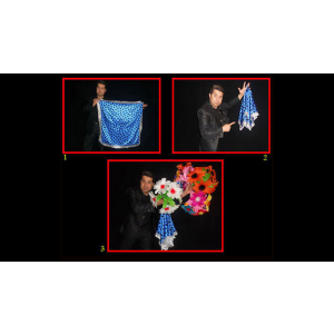 Appearing Bouquets from Hank (4) by Black Magic - Trick
