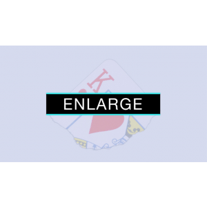 Enlarge (DVD and Gimmicks) by SansMinds - DVD