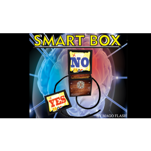 SMART BOX (Gimmicks and Online Instructions) by Mago Flash