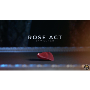 Visual Matrix AKA Rose Act Valorous Silver (Gimmick and Online Instructions) by Will Tsai and SansMinds - Trick