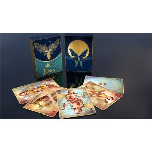 Alis Luminis The Winged Playing Cards Deck