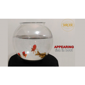 APPEARING FISH IN BOWL by Sorcier Magic