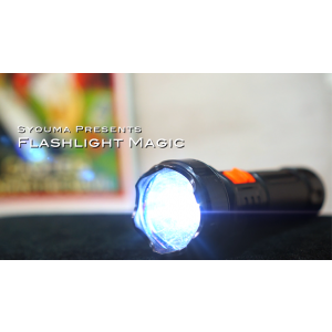 Magic Flashlight (2pk) by Tejinaya Magic - Trick
