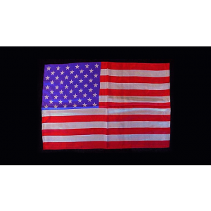 Rice Silk 12" x 18" (American Flag) by Silk King Studios - Trick