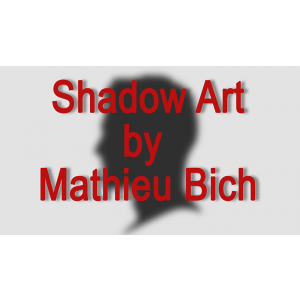 Shadow Art (Bat Man) by Mathieu Bich - Trick