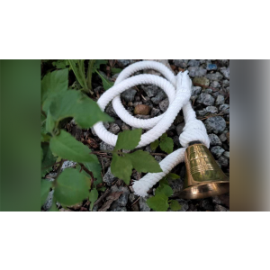 Mental Bell by JL Magic - Trick