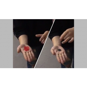 PETAL TO COIN by JL Magic - Trick