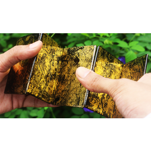 Stardust - Retro Trainers (Gold Flake) by Magic Encarta - Trick