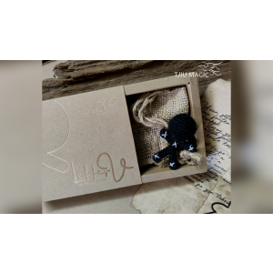 Letter V by Handy Altan -TRICK