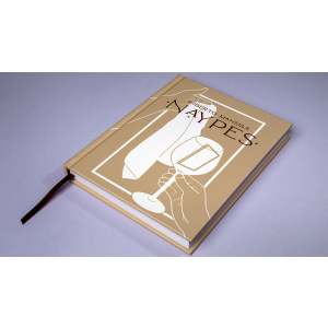 Naypes by Roberto Mansilla - Book