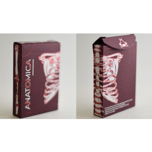 Anatomica Playing Cards