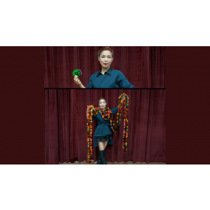 Flower Silver 10cm 8m 1ea by JL Magic - Trick