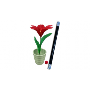 WAND TO FLOWER by JL Magic - Trick