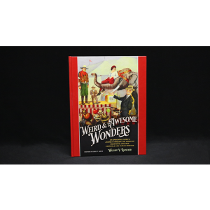 Weird and Awesome Wonders by William V. Rauscher - Book