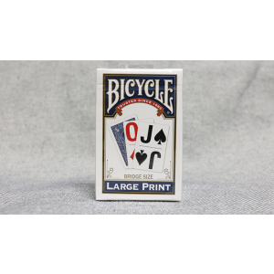 Bicycle Bridge (Blue) Large Print by USPCC