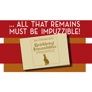 Bewildering Impuzzibilities by Jim Steinmeyer - Book