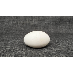 Multiplying eggs (white) by Uday - Trick