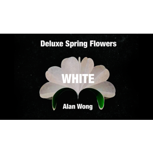 Deluxe Spring Flowers WHITE by Alan Wong - Trick