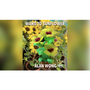 WAND TO SUNFLOWER LARGE by Alan Wong  - Trick