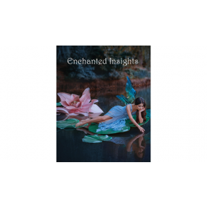 ENCHANTED INSIGHTS RED (Korean Instruction) by Magic Entertainment Solutions - Trick