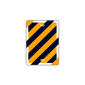 Broken Borders 2020 Playing Cards by The New Deck Order