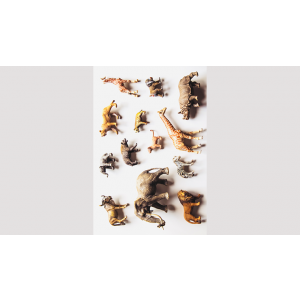 Noah's Ark Prop-less Animal Guess by Fraser Parker - Book