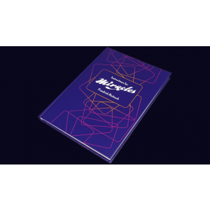 Instructions for Miracles by Friedrich Roitzsch - Book