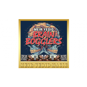 Brain Bogglers by Meir Yedid