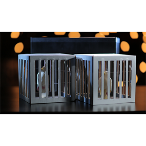 Amazing Cages from Frame by Tora Magic - Trick