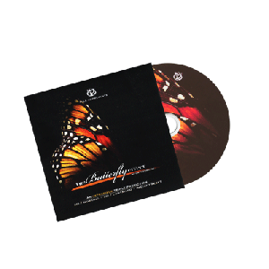 The Butterfly Effect by David Forrest - DVD