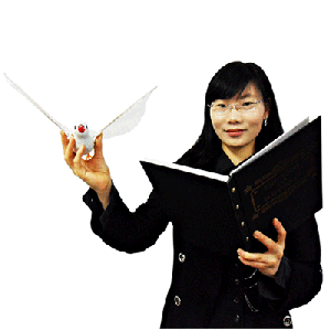 Dove & Rabbit Book by JL Magic