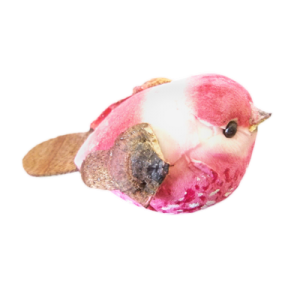 Finger Bird by Chazpro Magic