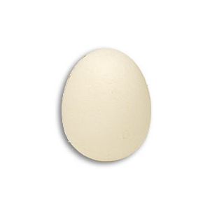 Foam Egg ( 1 egg is 1 unit) Goshman