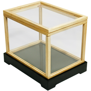 Illusion money box (With monitary notes) - Trick