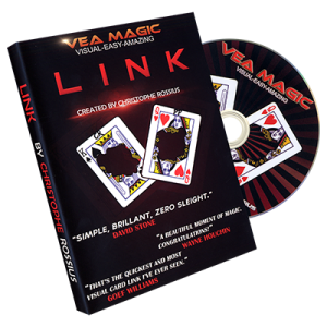 Link - The Linking Card Project (DVD & Gimmicks) by Christoph Rossius - Trick
