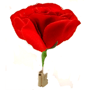 Match to Rose by Mr. Magic - Trick