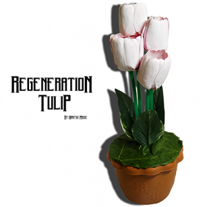 Regeneration Tulip by Himitsu Magic - Trick