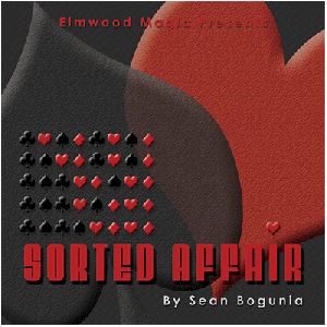 Sorted Affair (2013) by Sean Bogunia