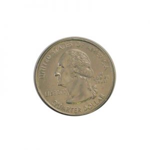 Shim Shell Quarter (heads only)